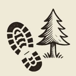 Wander-Caches